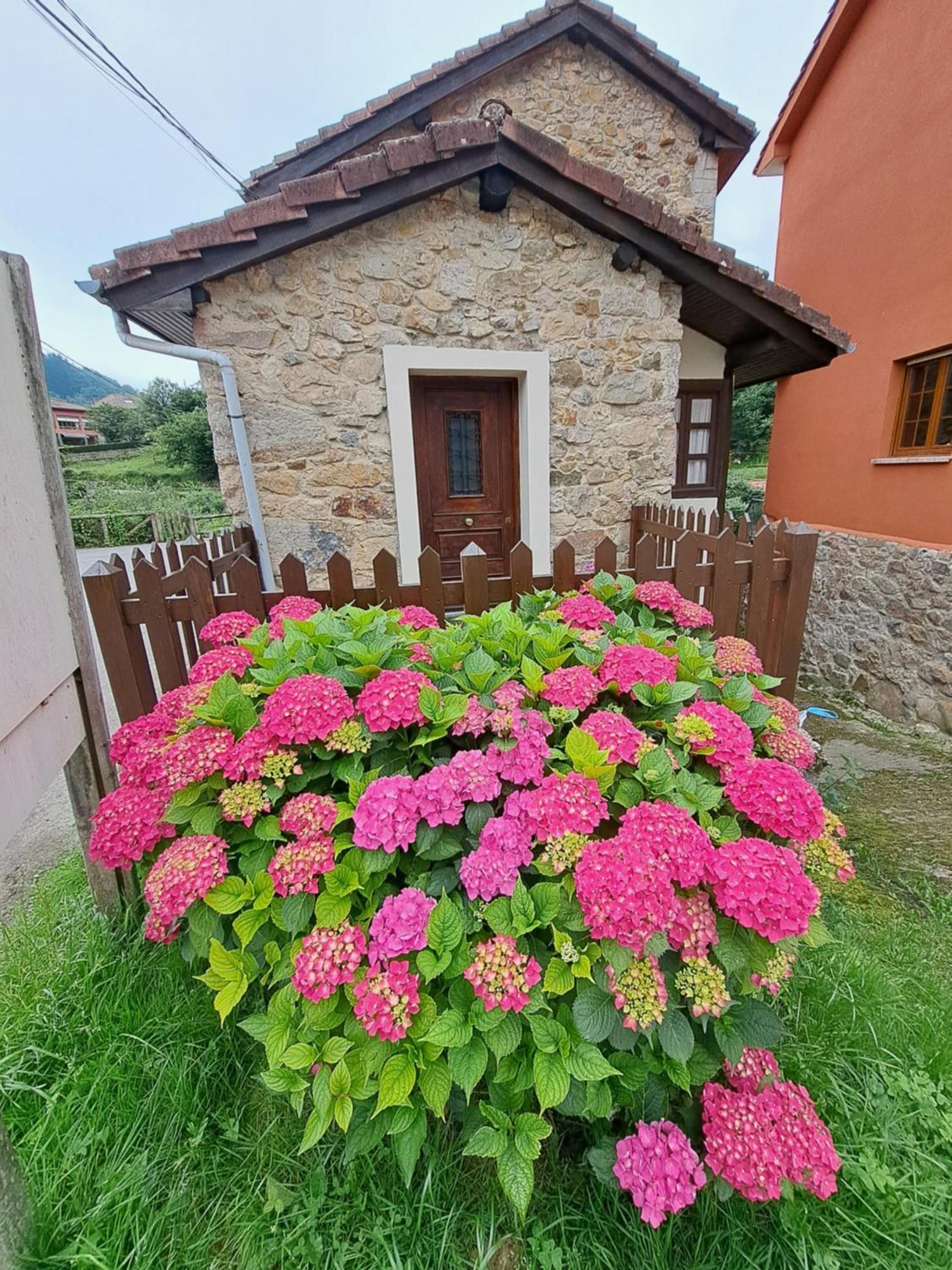 Casa Rural El Puente De Agues Soto De Agues Extérieur photo